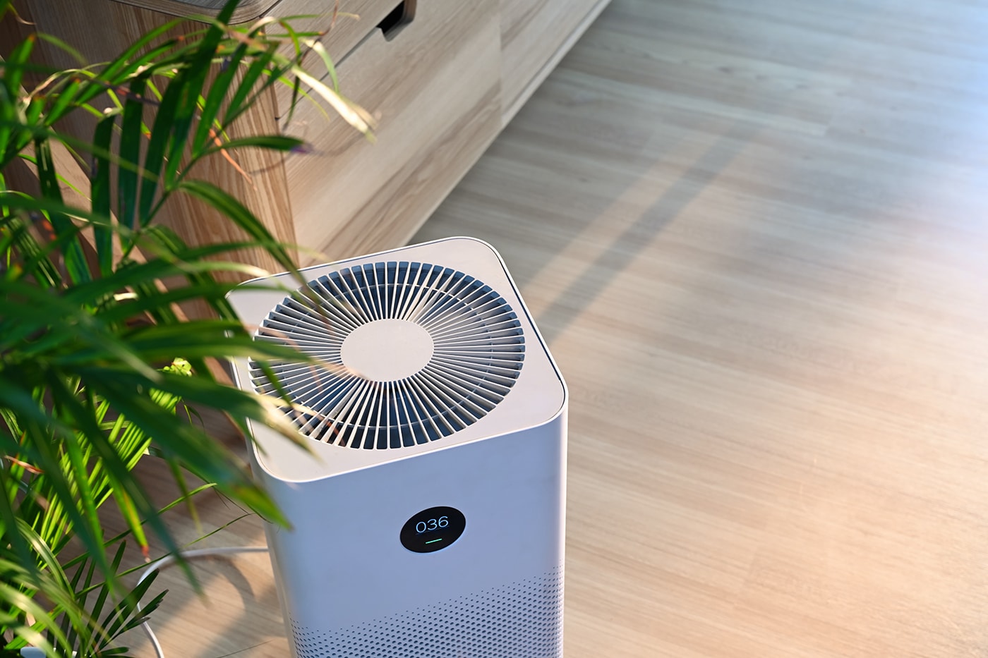 An air purifier beside a green plant, with a digital display showing a reading.